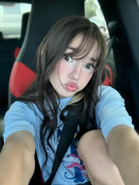 kat ≽^•⩊•^≼