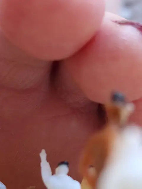 Katy Adams's Giantess Feet on OnlyFans