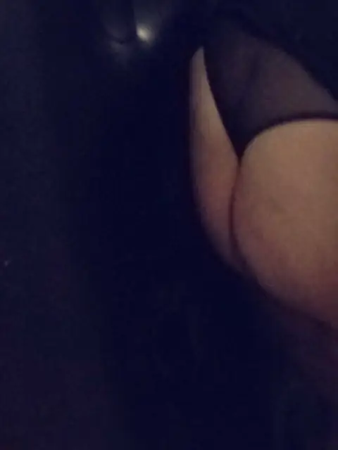 Phatt Bunny 🐰