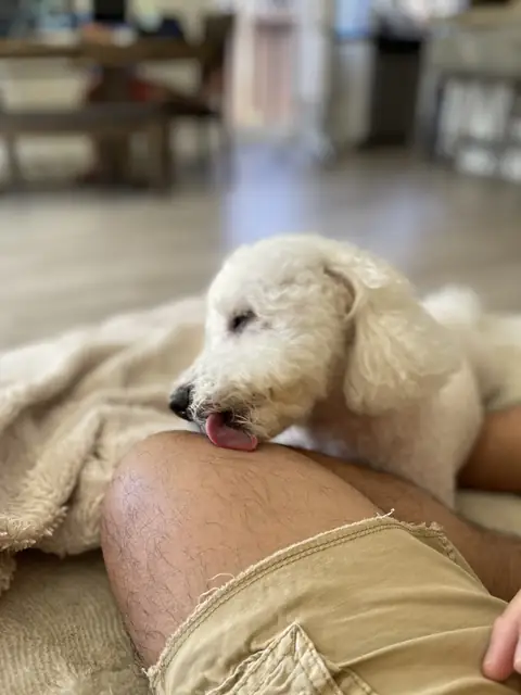 Snowey on OnlyFans