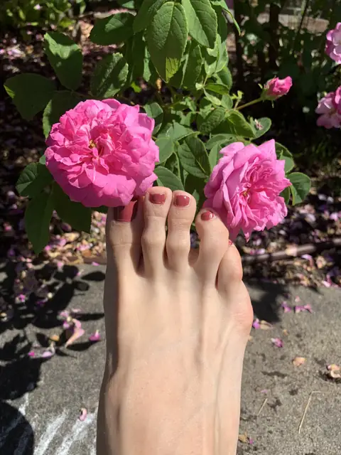 Sage Sole