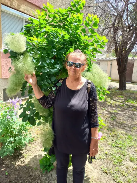 Nada Husti