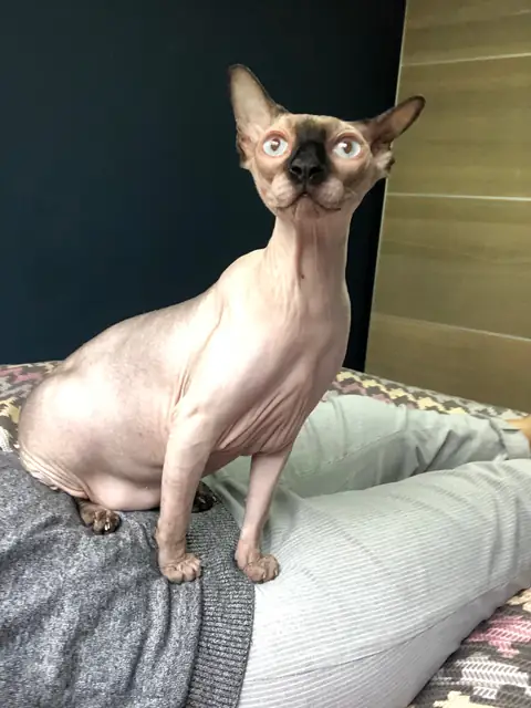 Milou on OnlyFans