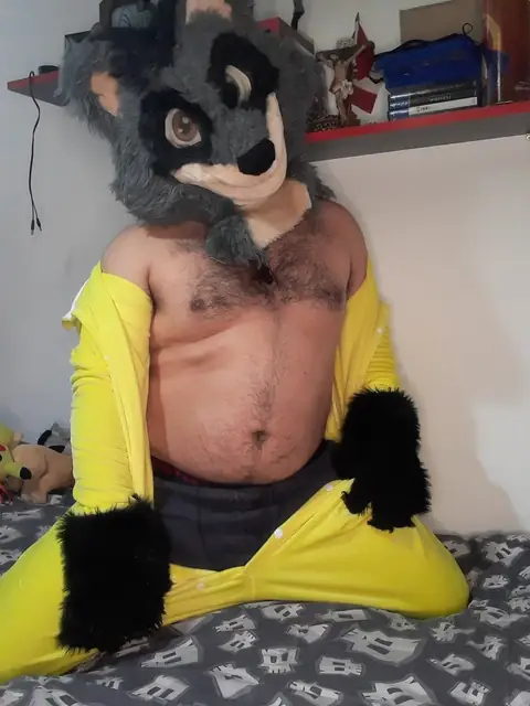 luchiano raccoon